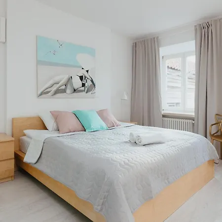 Old Town Loft Apartment *